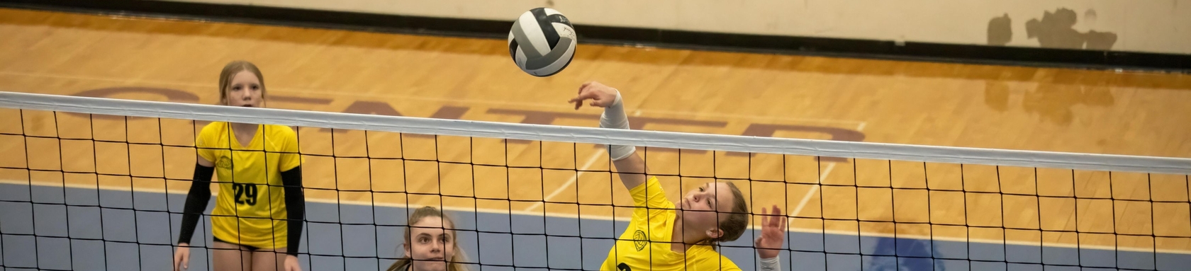 Volleyball